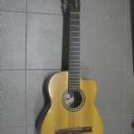 485 6569 Gitarr